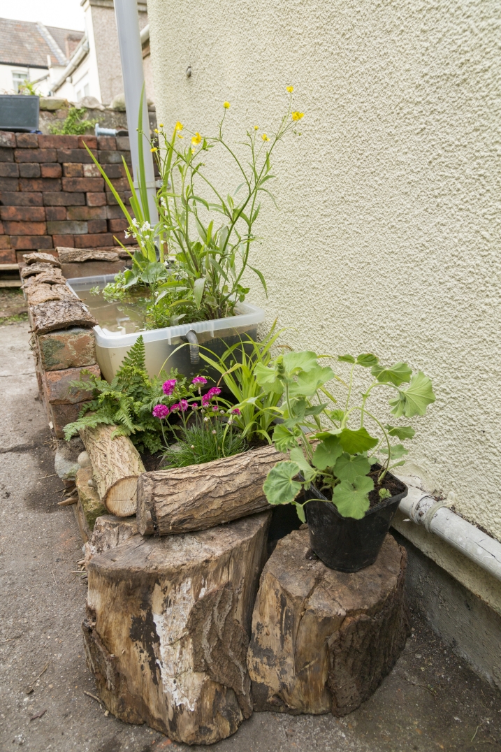 Mini-wetlands campaign - drainpipe wetland - CREDIT WWT (4).jpg